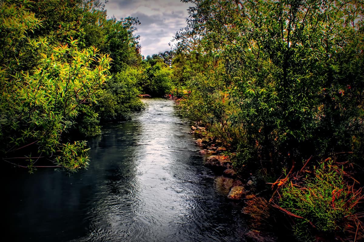 Vasona Lake under a dark, cloudy sky