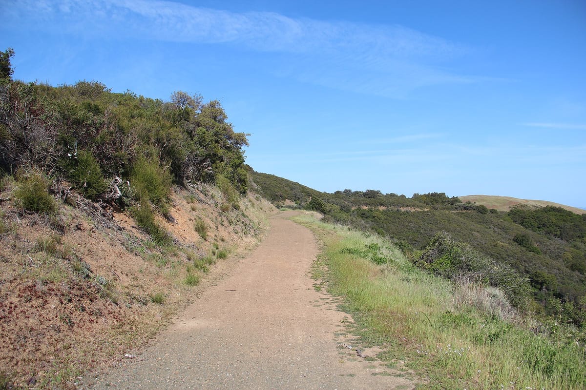 A dirt trail across the grassy hills of Sierra Azul Open Space Preserve