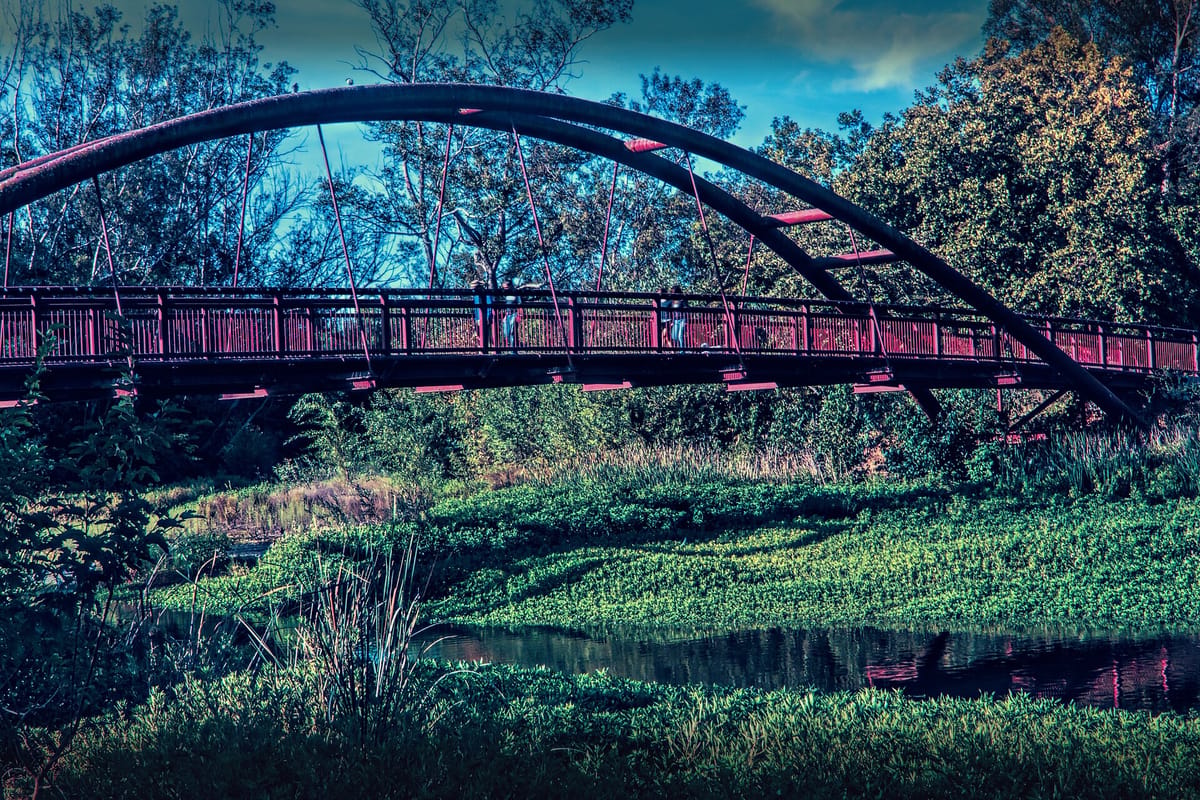 A red arched footbridge in Vasona Lake County Park