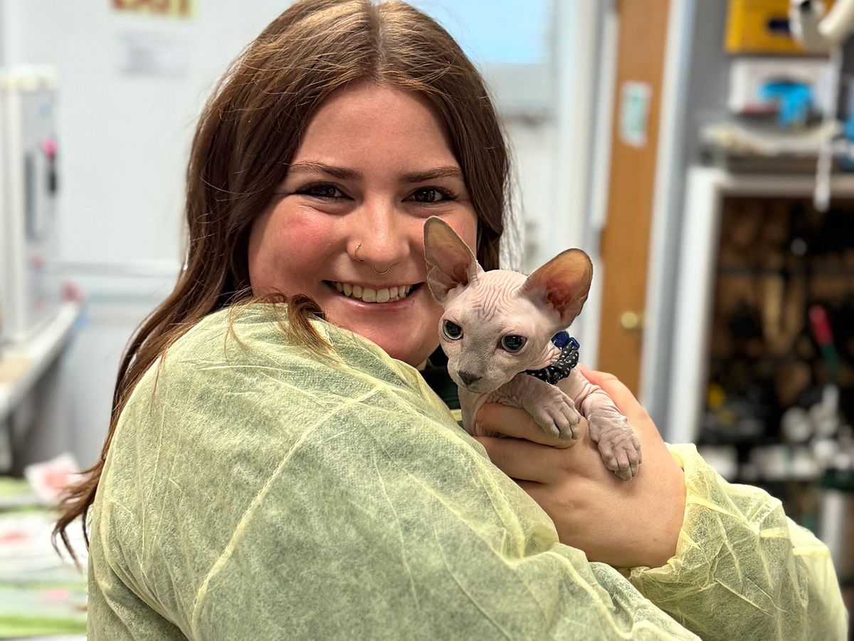 Veterinarians in Los Gatos
