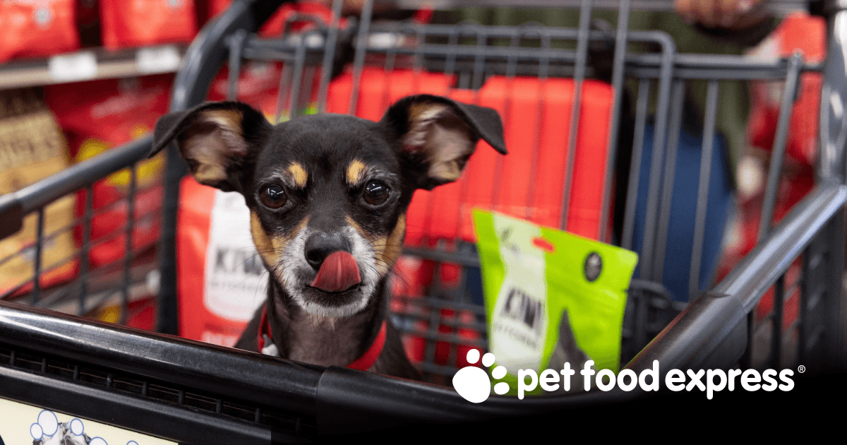 Pet Grooming, Boarding & Training in Los Gatos